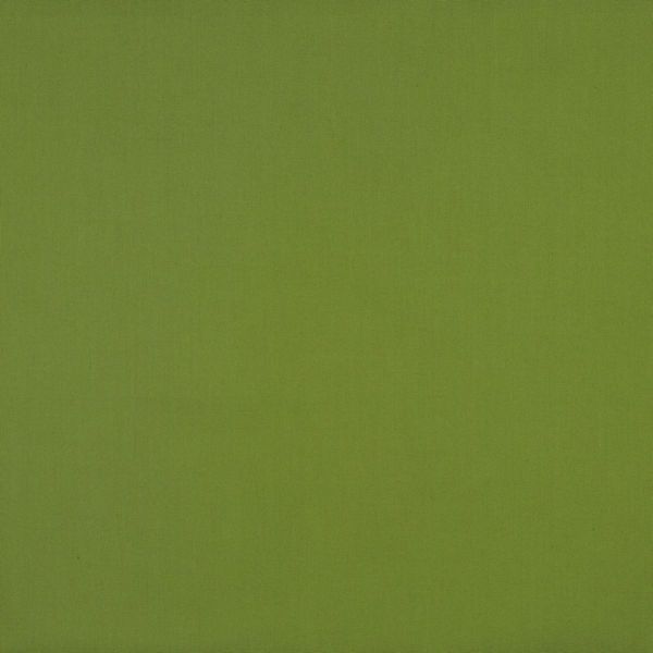 Baumwollstoff uni grün - Baumwolle Popeline – Cotton Poplin green