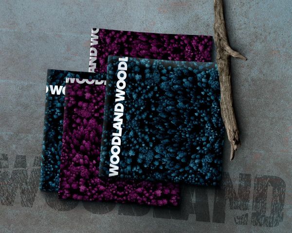 French Terry Wald Bäume Schriftzug petrol schwarz - Sweat Woodland by Thorsten Berger