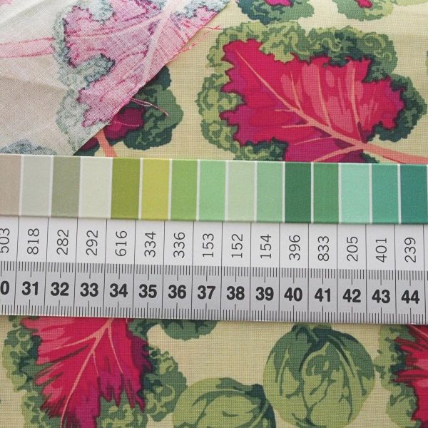 Baumwolle Gemüse Grünkohl grün pink – Veggies Kale von Free Spirit