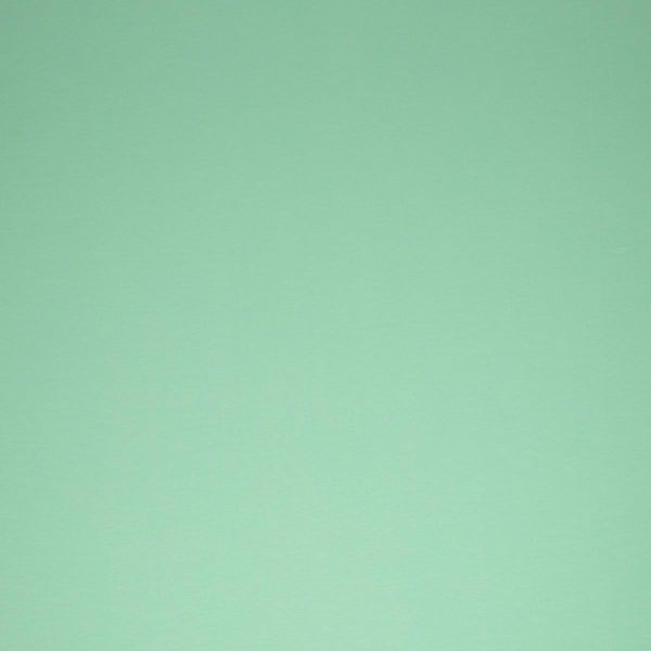 Single Jersey frisches mint grün - Baumwolljersey VANESSA von Swafing