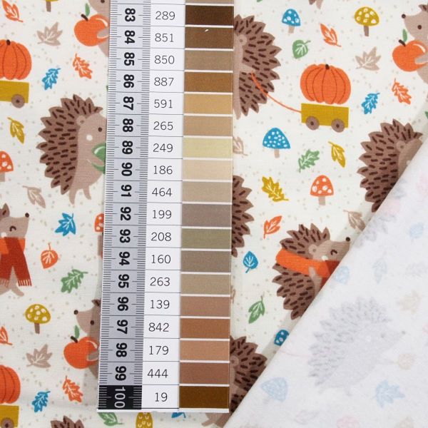 Bio Jersey Igel mit Kürbis beige rost – Pucky im Herbst by Puck vom Stoffonkel