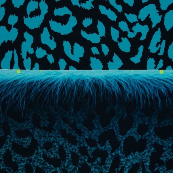 Monsta Pillow DIY Panel petrol für ein Kissen • Design Thorsten Berger by Swafing