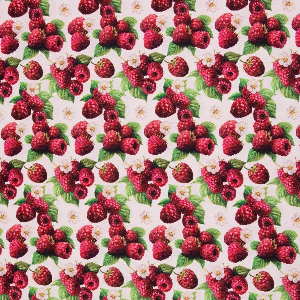 Dekostoff mit Himbeeren rosa berry - Baumwolle Canvas Matteo von Swafing