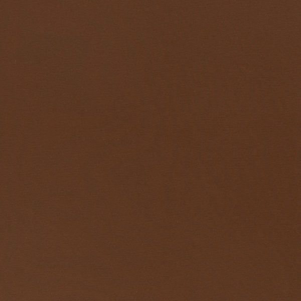 Single Jersey hellbraun - Baumwolljersey VANESSA von Swafing