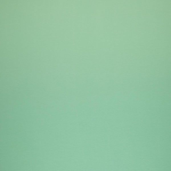 Sweat uni frisches mint grün - French Terry MAIKE von Swafing