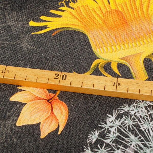 Baumwollstoff MESTRAL – botanische Blumenillustrationen auf Dunkelgrau, made in Spain