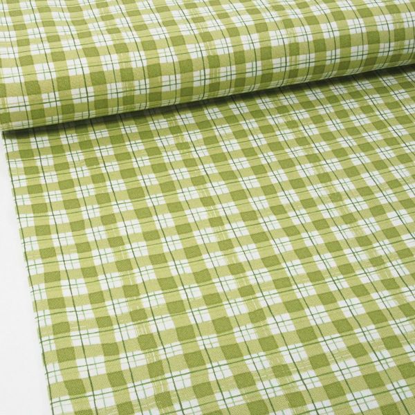 Baumwolle Karo grün – Picknick Serie Under the Apple Tree by Cotton & Steel