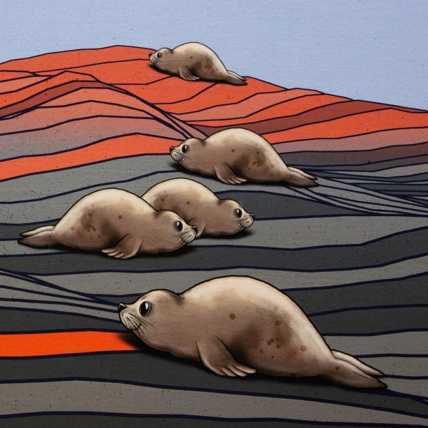 Jersey Robben Dünen beige grau - Salty Soul by Thorsten Berger - 80cm Panel