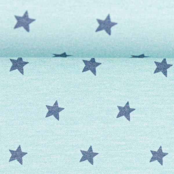 Jersey Sterne mint – Serie Heavenly Friends by Steinbeck von Swafing