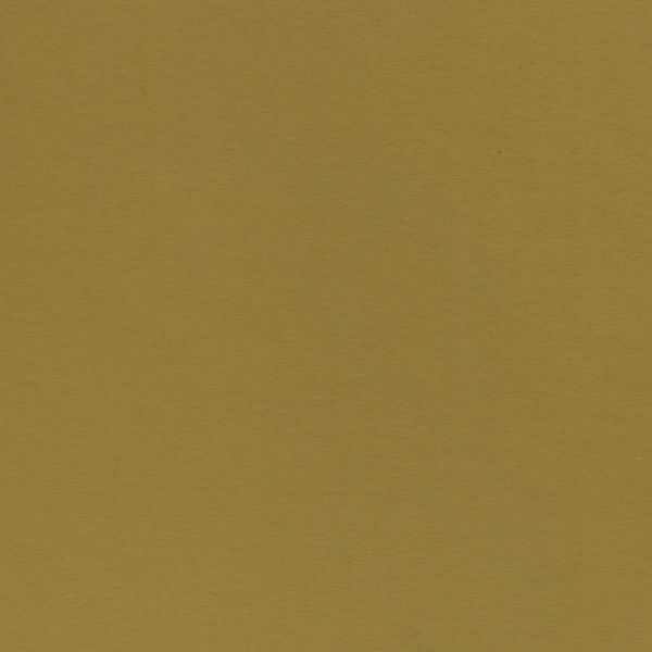 Single Jersey oliv khaki - Baumwolljersey VANESSA von Swafing