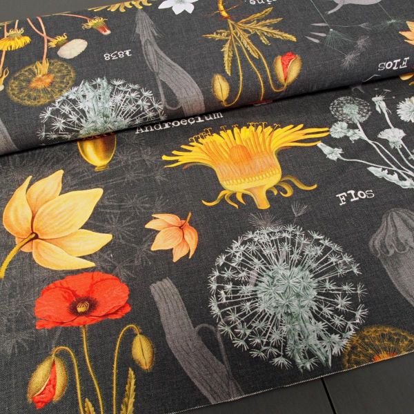 Baumwollstoff MESTRAL – botanische Blumenillustrationen auf Dunkelgrau, made in Spain