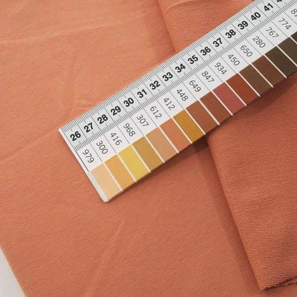 Sweat uni dusty apricot – Basic French Terry MAIKE von Swafing FS21