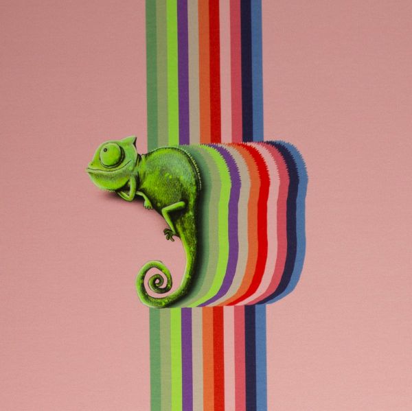 Modal Sweat Chamäleon Regenbogen rosa - Hamaeleon Camillo von Thorsten Berger – 85cm Panel French Te