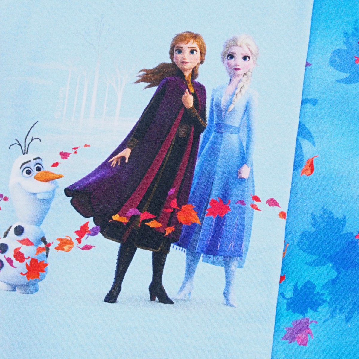 Elsa und Anna Olaf Eiskönigin Set Sonnenschutz Decke Kiste in