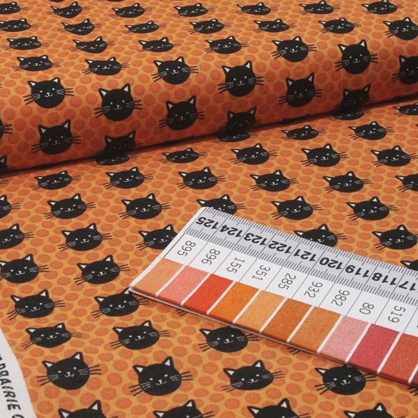 Baumwolle Katzen Punkte orange schwarz Halloween - Midnight Magic 24083