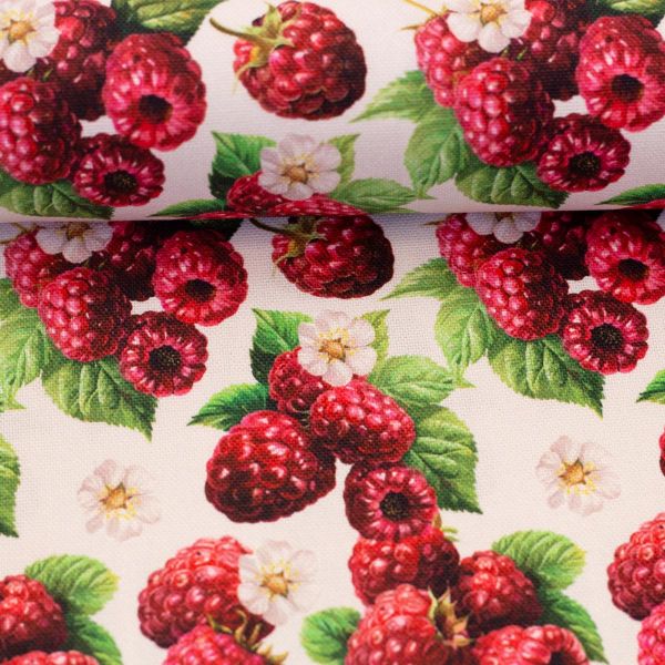 Dekostoff mit Himbeeren rosa berry - Baumwolle Canvas Matteo von Swafing
