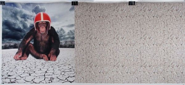 Jersey mit Affe und rotem Motorrad Helm – 65cm Panel Bike Monkey QjuTie Digial Collection