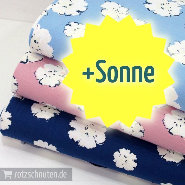 S14751-S14753-1-sonne