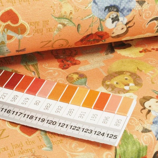 Baumwolljersey der Zauberer von Oz lachs - Jersey The Wonderful Wizard of Oz