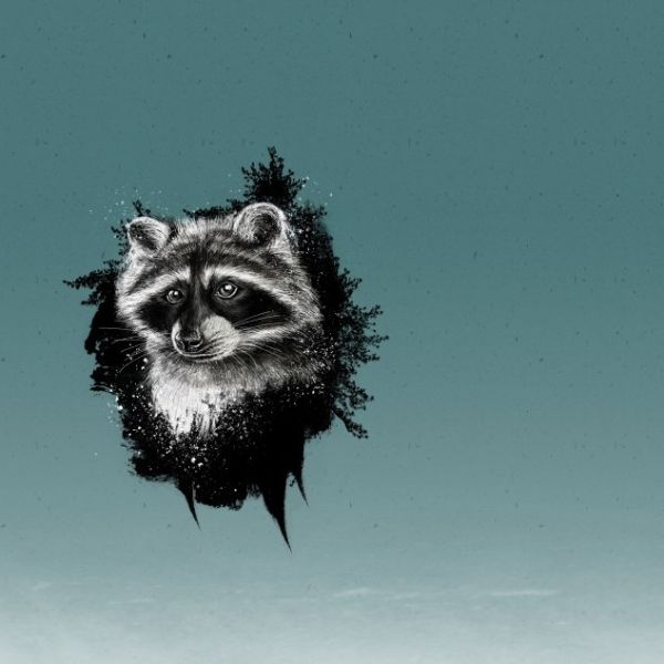 Sweat Waschbär türkis - Wyld Forest von Thorsten Berger – 85cm Panel French Terry