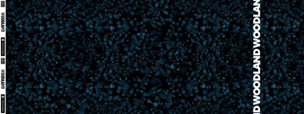 French Terry Wald Bäume Schriftzug petrol schwarz - Sweat Woodland by Thorsten Berger