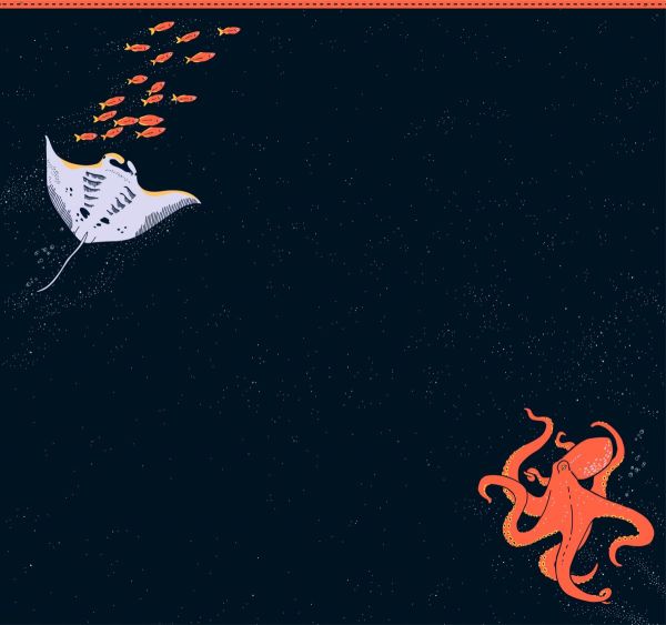 Maritimer Sweat navy mit Oktopus und Mantarochen by Käselotti – 150cm Panel French Terry