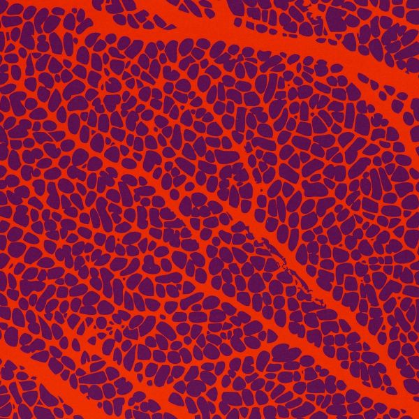 Jersey Korallenriff orange violett – Serie Fan Coral by Thorsten Berger von Swafing