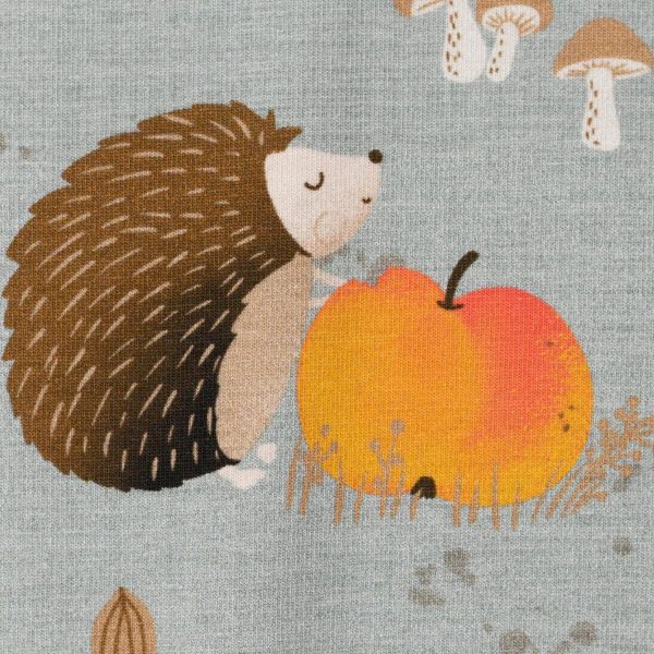 Jersey Igel Iggi graublau – Herbst Laub Äpfel Schnecke Erdbeeren