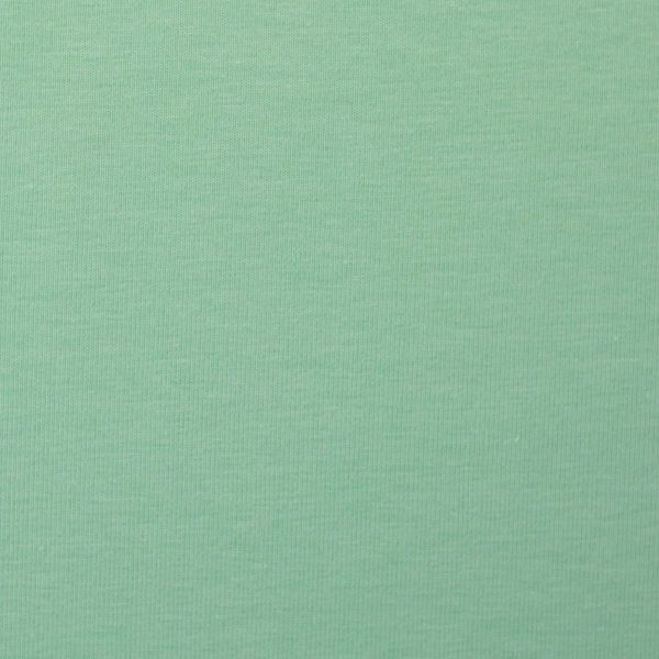 Sweat uni frisches mint grün - French Terry MAIKE von Swafing