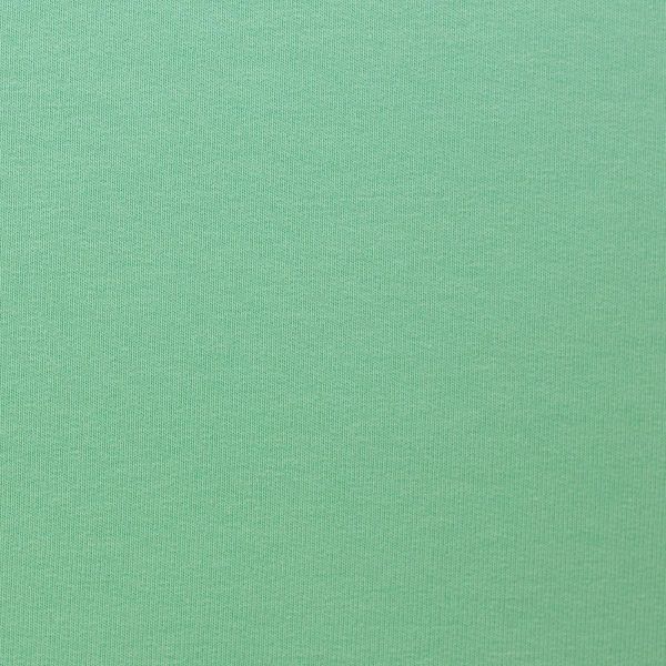 Single Jersey frisches mint grün - Baumwolljersey VANESSA von Swafing