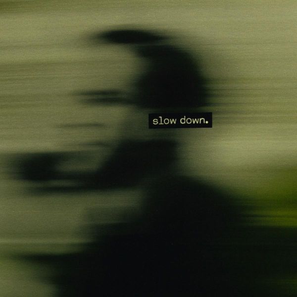 Sweat Farbverlauf grün mit Schatten - Slow Down by Thorsten Berger – 90cm Panel French Terry