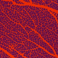 Jersey Korallenriff orange violett – Serie Fan Coral by Thorsten Berger von Swafing Jersey Korallenriff orange violett – Serie Fan Coral by Thorsten Berger von Swafing