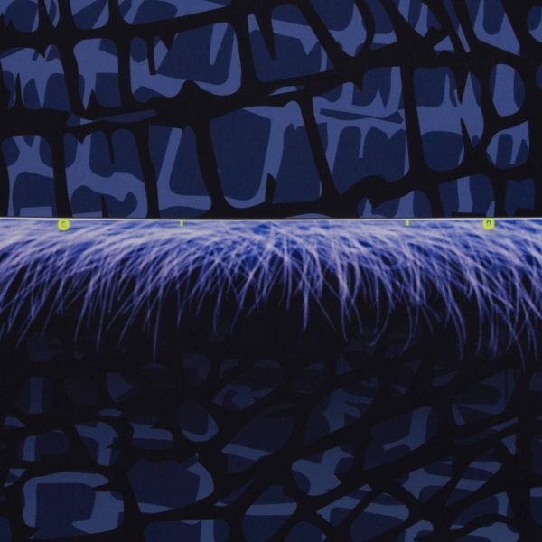 Monsta Pillow DIY Panel blau für ein Kissen • Design Thorsten Berger by Swafing