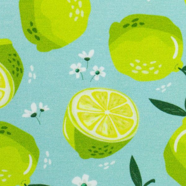 Jersey mit fruchtigen Limetten mint grün – frisches Obst aus der Serie Melody von Swafing
