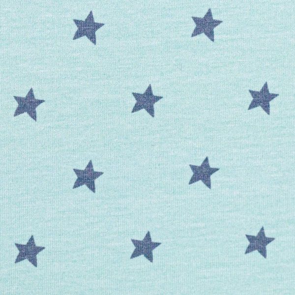 Jersey Sterne mint – Serie Heavenly Friends by Steinbeck von Swafing