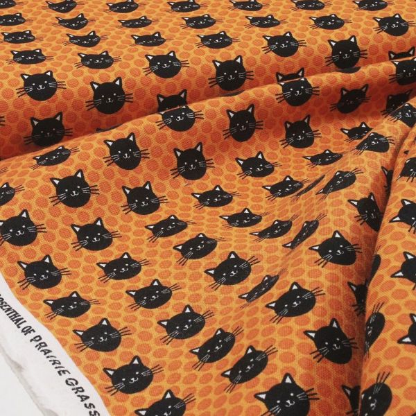 Baumwolle Katzen Punkte orange schwarz Halloween - Midnight Magic 24083