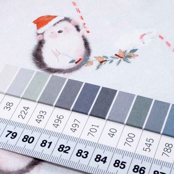 Jersey kleiner Weihnachts Igel hellgrau rot - Ludos Lieblinge von Swafing
