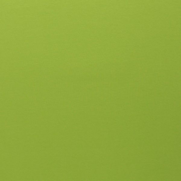 Soft Sweat uni hellgrün - angerauhter French Terry EIKE von Swafing