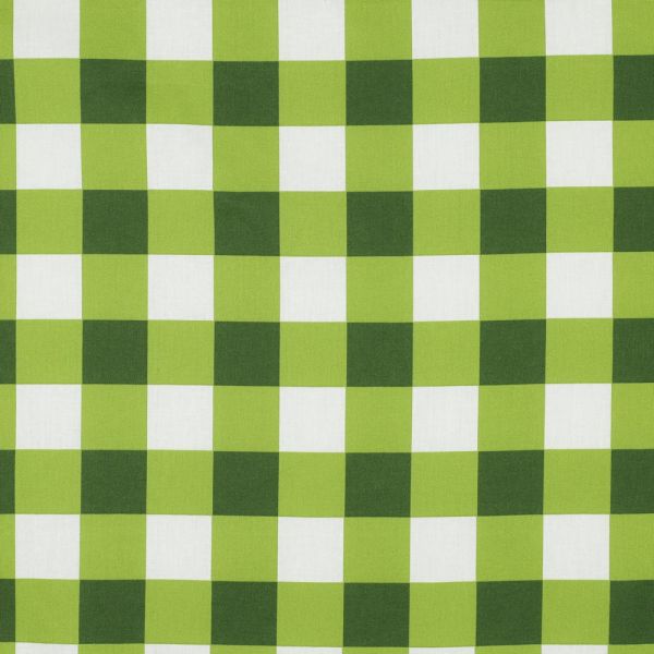 Beschichtete Baumwolle – grünes Vichy-Karo, wasserabweisend