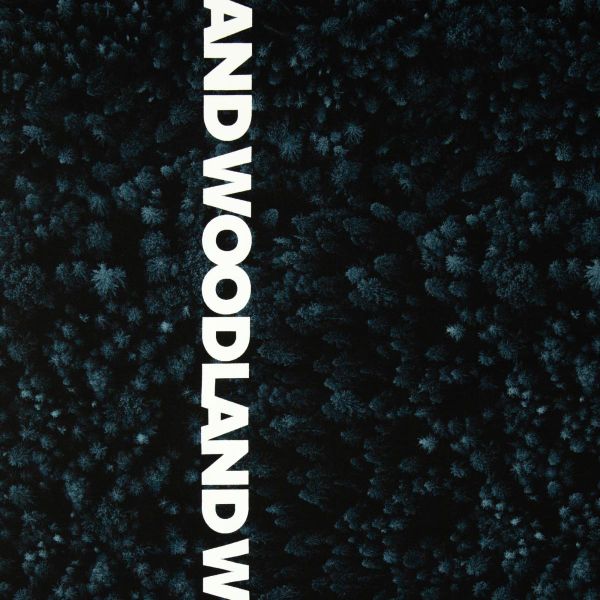 French Terry Wald Bäume Schriftzug petrol schwarz - Sweat Woodland by Thorsten Berger