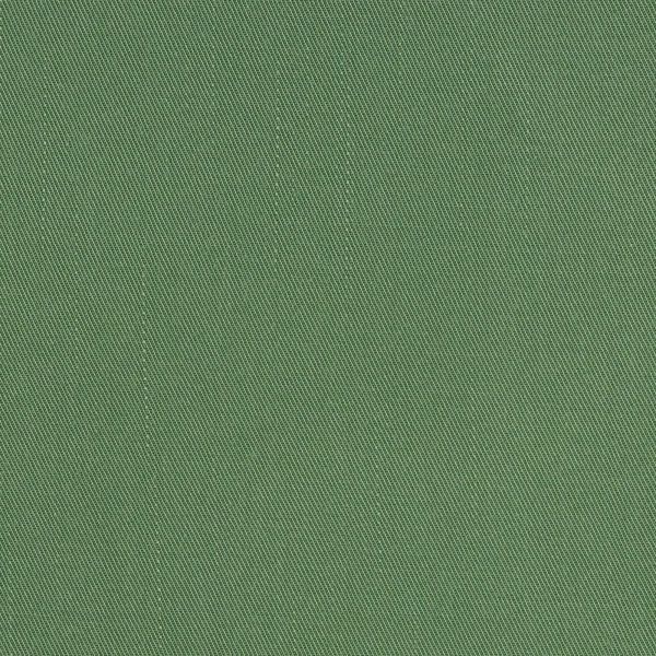 TENCEL™ Lyocell Webware uni hellgrün – Hannah von Swafing