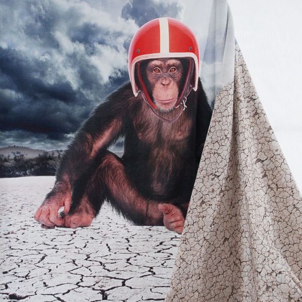 Jersey mit Affe und rotem Motorrad Helm – 65cm Panel Bike Monkey QjuTie Digial Collection